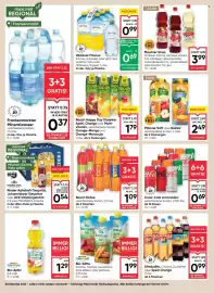 Maximarkt Flugblatt woche 30 Seite 12