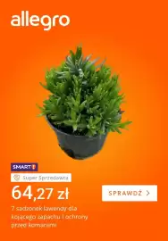 Allegro gazetka tydzień 30 Strona 3