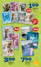 Twój Market gazetka Strona 13