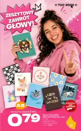 Twój Market gazetka Strona 17