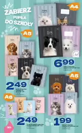 Twój Market gazetka Strona 30