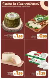 Volantino Ipercoop Radenza Pagina 13