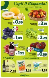 Volantino Ipercoop Radenza Pagina 23