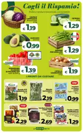 Volantino Ipercoop Radenza Pagina 24