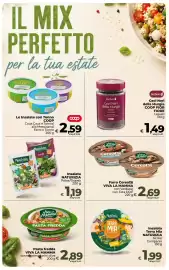 Volantino Ipercoop Radenza Pagina 26
