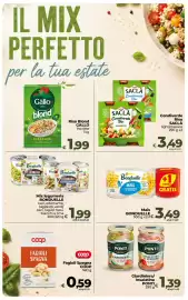 Volantino Ipercoop Radenza Pagina 27