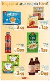 Volantino Ipercoop Radenza Pagina 4
