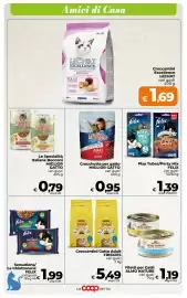 Volantino Ipercoop Radenza Pagina 49
