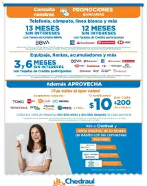 Folleto Chedraui Página 11