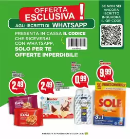 Volantino Coop Master Alleanza 3.0 | superstore Pagina 17