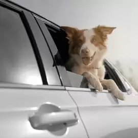 Folleto Honda Página 4