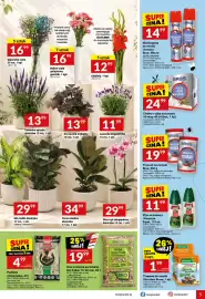 Twój Market gazetka tydzień 30 Strona 5