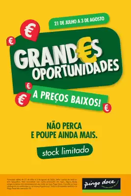 Pingo Doce | Bazar Grandes Oportunidades (válido até 3-08)
