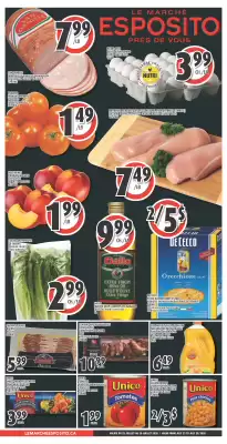 Esposito (valid until 29-07)