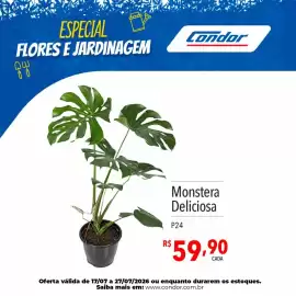 Catálogo Supermercados Condor Página 35