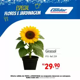 Catálogo Supermercados Condor Página 36