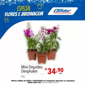 Catálogo Supermercados Condor Página 37