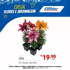 Catálogo Supermercados Condor Página 38