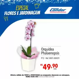 Catálogo Supermercados Condor Página 39