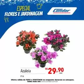 Catálogo Supermercados Condor Página 40