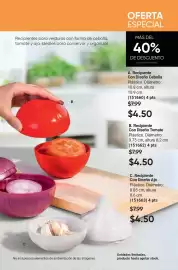 Catálogo AVON Página 101