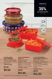 Catálogo AVON Página 17