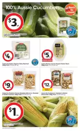Coles catalogue week 30 Page 19