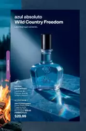 Catálogo AVON Página 61