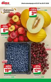 Dino gazetka tydzień 30 Strona 9