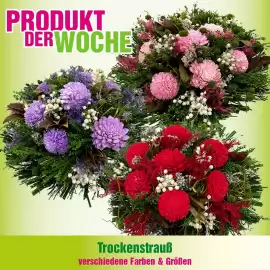 Blumen B&B Flugblatt Seite 6