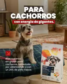 Catálogo Eroski semana 30 Página 2