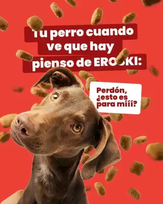 Eroski (válido hasta 27-07)