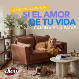 Catálogo Muebles Dico Página 1