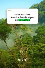 Catálogo VivaAerobus Página 1