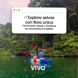 Catálogo VivaAerobus Página 2