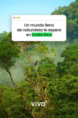 VivaAerobus (válido hasta 31-07)