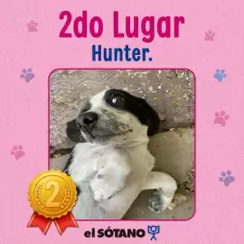 Catálogo El Sótano Página 3