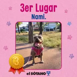 Catálogo El Sótano Página 4
