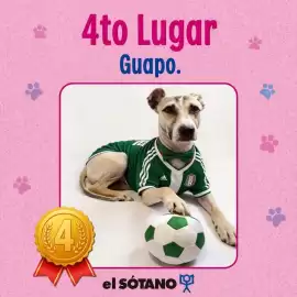Catálogo El Sótano Página 5