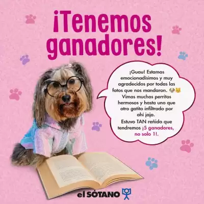 El Sótano (válido hasta 31-07)