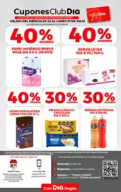 Folleto Supermercados DIA semana 30 Página 15