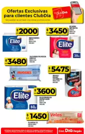 Folleto Supermercados DIA semana 30 Página 18