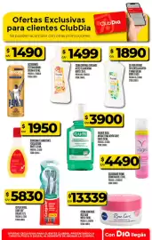 Folleto Supermercados DIA semana 30 Página 19
