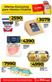 Folleto Supermercados DIA semana 30 Página 21