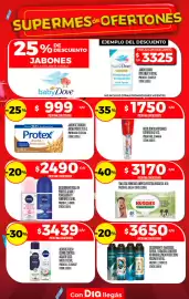 Folleto Supermercados DIA semana 30 Página 34