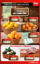 Folleto Supermercados DIA semana 30 Página 8