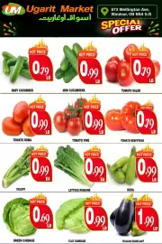 Ugarit Market flyer week 30 Page 4