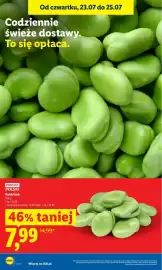 Lidl gazetka Strona 16