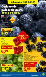 Lidl gazetka Strona 51