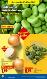 Lidl gazetka Strona 52